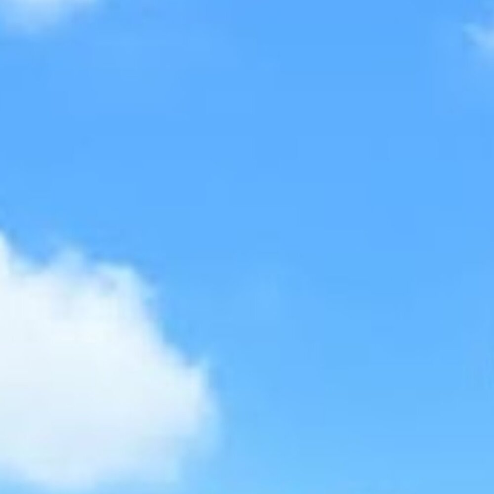 Meet your Posher, Chelsea